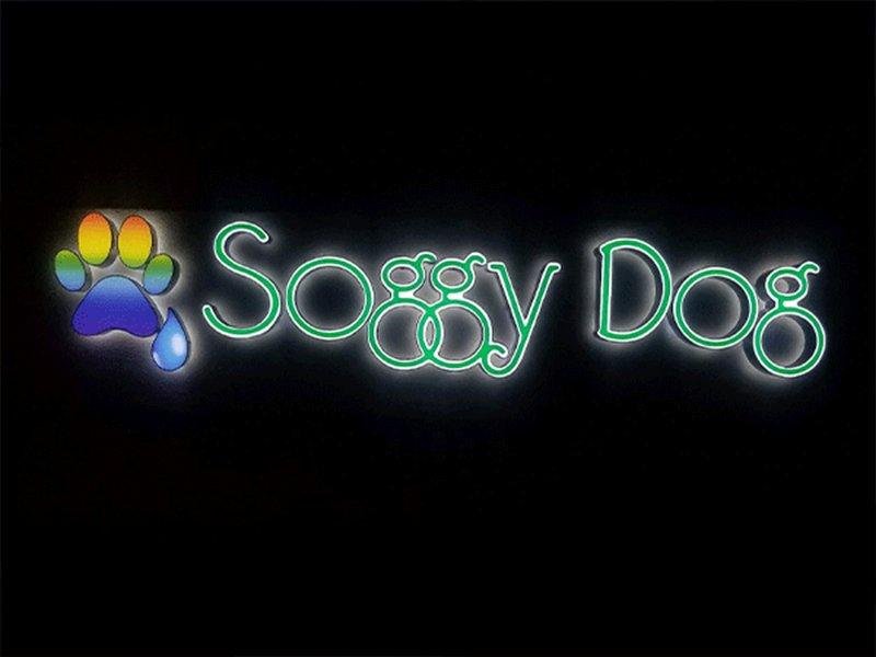Soggy Dog channel letter sign by West Coast Sign Shop