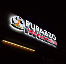 Custom LED channel letters on commercial building facade by West Coast Sign Shop