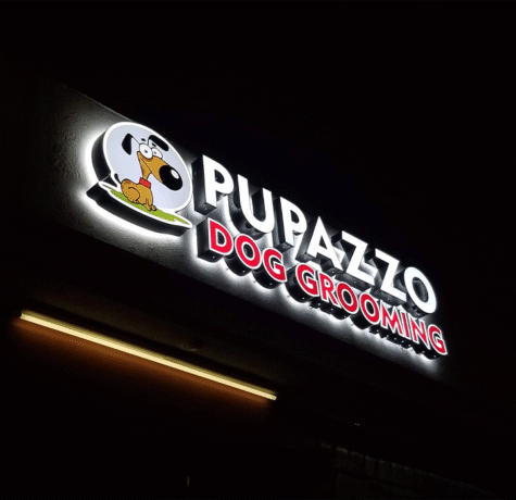 Custom LED channel letters on commercial building facade by West Coast Sign Shop