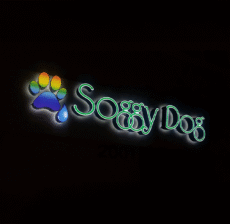 Front-lit channel letter signage installed on retail storefront by West Coast Sign Shop